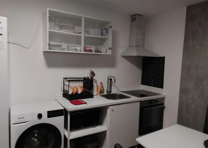 アパート Rhein-main Ii *